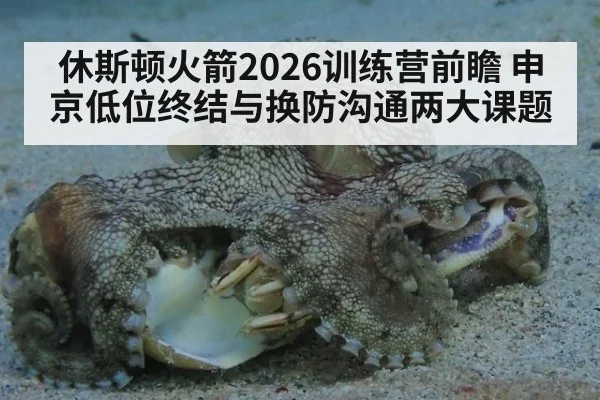休斯顿火箭2026训练营前瞻 申京低位终结与换防沟通两大课题