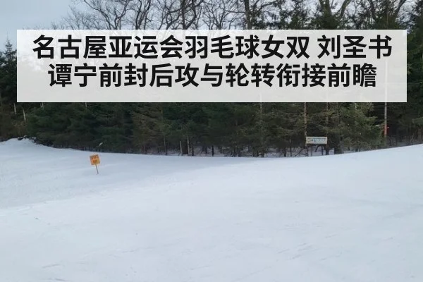名古屋亚运会羽毛球女双 刘圣书谭宁前封后攻与轮转衔接前瞻