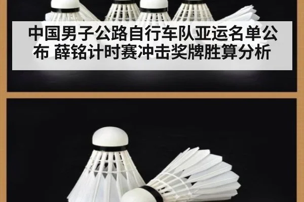 中国男子公路自行车队亚运名单公布 薛铭计时赛冲击奖牌胜算分析