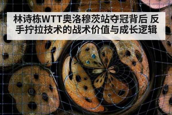 林诗栋WTT奥洛穆茨站夺冠背后 反手拧拉技术的战术价值与成长逻辑