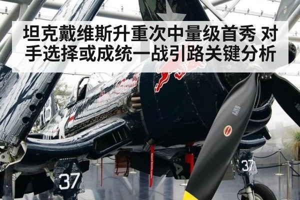 坦克戴维斯升重次中量级首秀 对手选择或成统一战引路关键分析